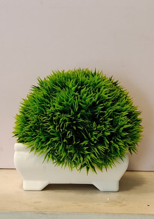 Mini green Bushy Plant 12cm