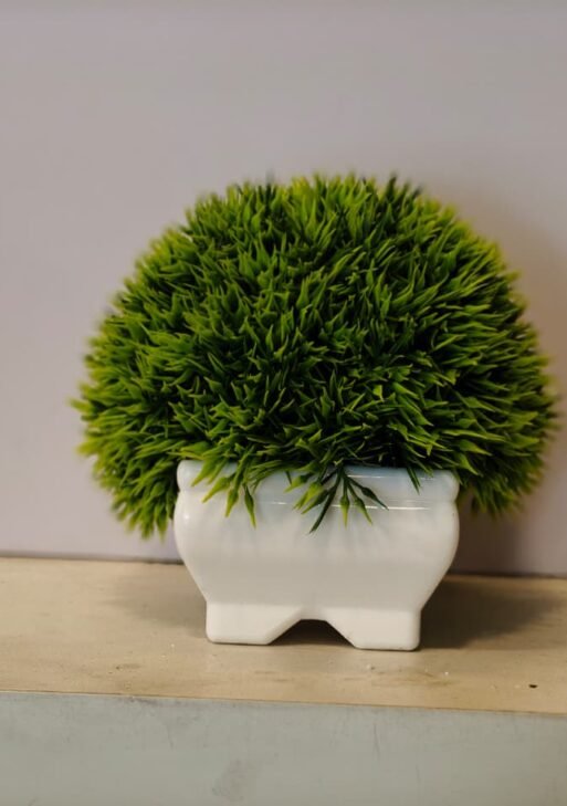 Mini green Bushy Plant 12cm