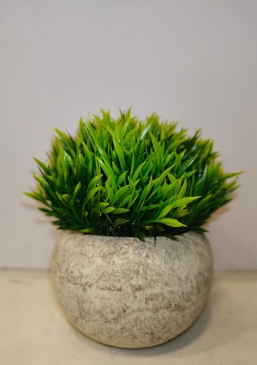Symmetric Green Bushy Decor Plant 14 cm