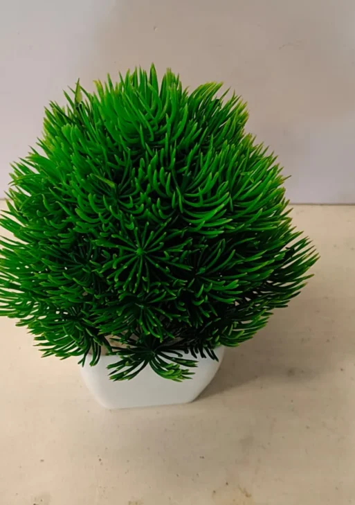 Grass plant/ green bushy plant decor for home 14 cm