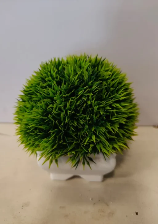 Grass plant/ green bushy plant decor for home 12 cm