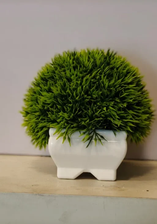 Grass plant/ green bushy plant decor for home 12 cm