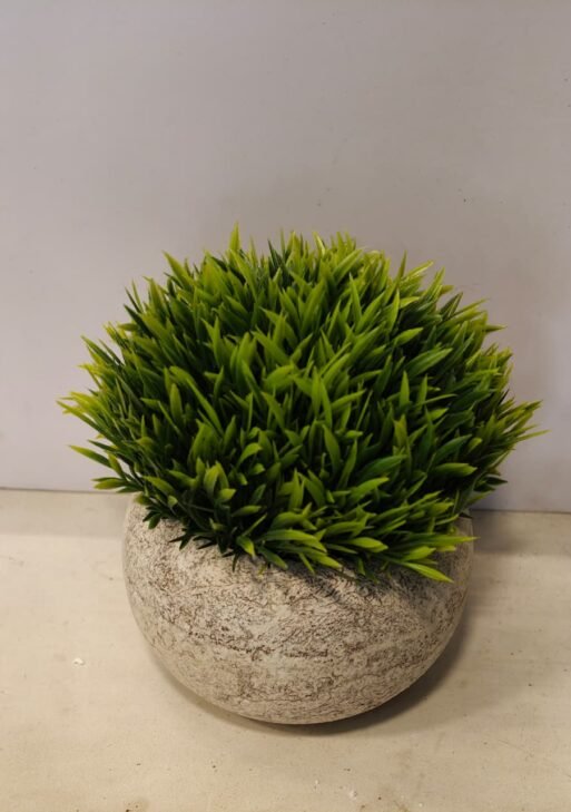 Grass plant/ green bushy plant decor for home 14 cm