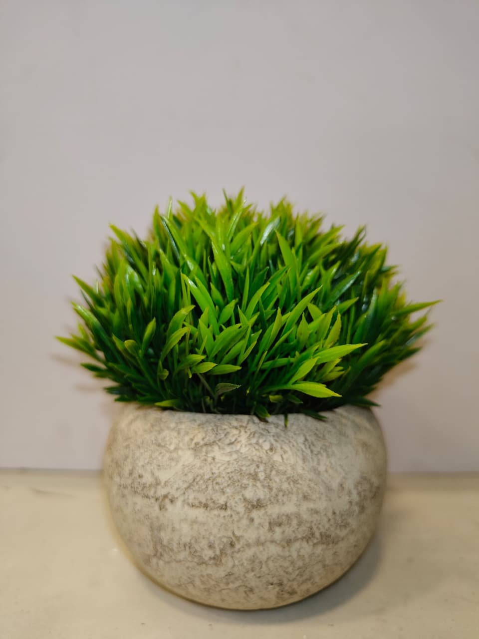 Grass plant/ green bushy plant decor for home 14 cm - Image 3