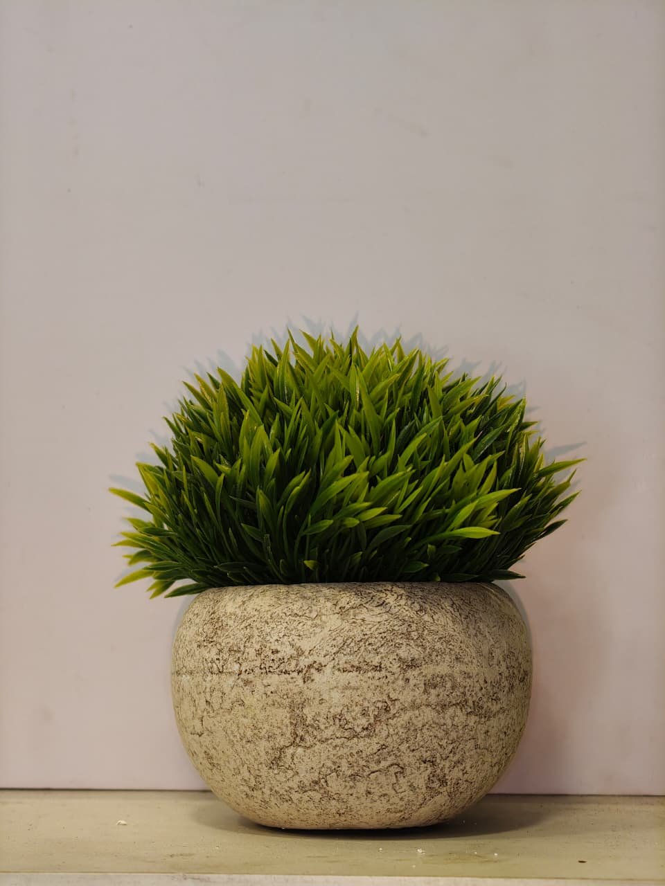 Grass plant/ green bushy plant decor for home 14 cm - Image 2