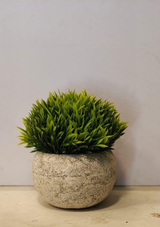 Grass plant/ green bushy plant decor for home 14 cm