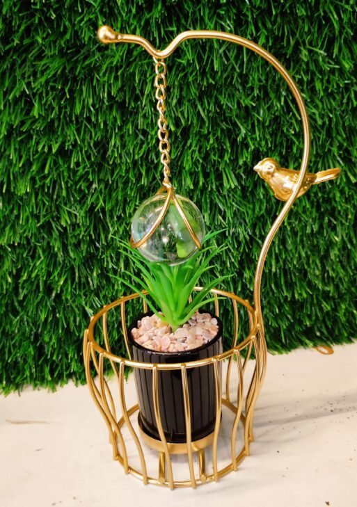 Indoor Plants